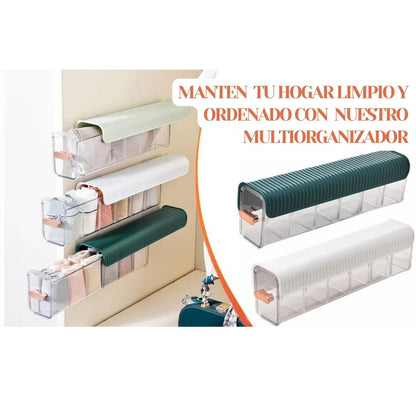 MULTIORGANIZADOR